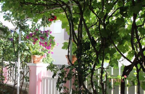 Povljana Apartamento | Apartment Povljana 1