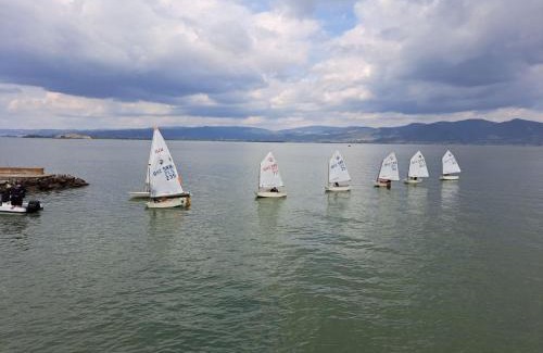 Golubac Apartamento | Apartment Rajic