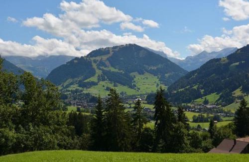 Saanen Apartamento | Apartment Rehweid - EG by Interhome