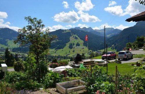 Saanen Apartamento | Apartment Rehweid - EG by Interhome