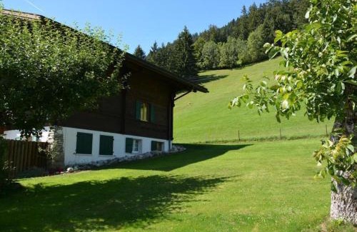 Saanen Apartamento | Apartment Rehweid - EG by Interhome