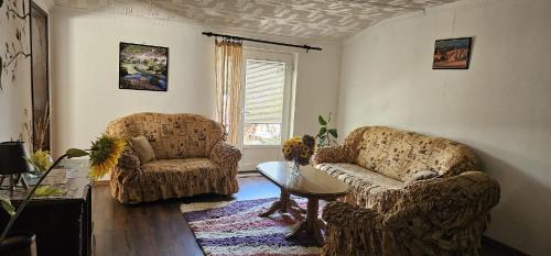 Pluzine Apartamento | Apartment Relax