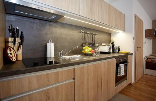 Zelezna Ruda Apartamento | Apartment Rezidence - Javor & Wellness