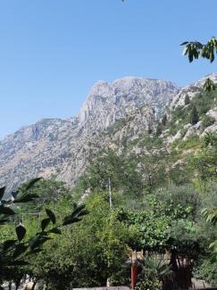 Skaljari Apartamento | Apartment Sali