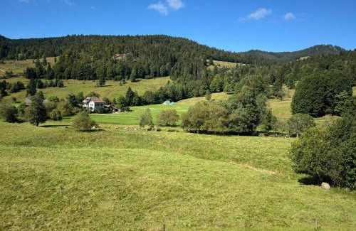 St. Blasien Apartamento | Apartment Schwinbachblick mit 2 Balkonen