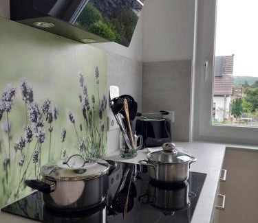 Nieder-Modau Apartamento | Apartment Senfnest