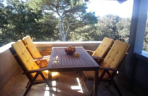 Silba Apartamento | Apartment Silba 17603b