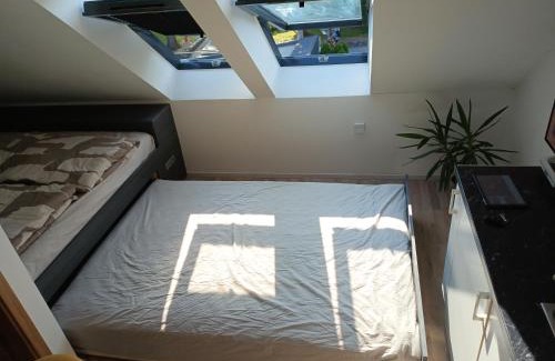 Skofja Loka Apartamento | Apartment Simon