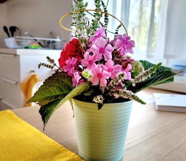 Dornbirn Apartamento | Apartment Sonnenschein