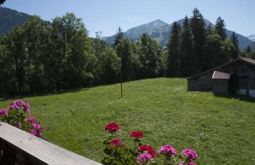 Zweisimmen Nr Gstaad Apartamento | Apartment Steimandli by Interhome