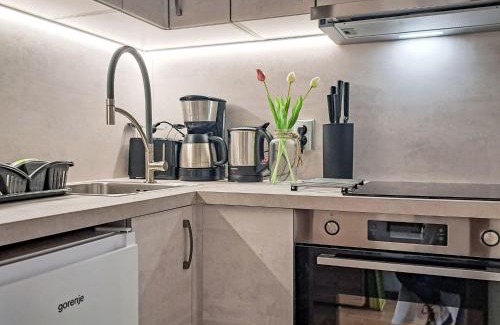 Muehlbach Am Hochkoenig Apartamento | Apartment Top A45 by Interhome