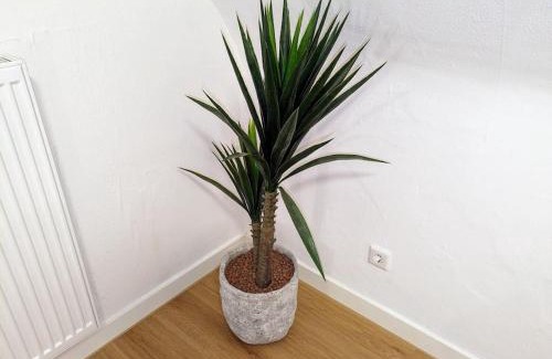 Gronau Apartamento | Apartment 'Tannen' Grenze Enschede