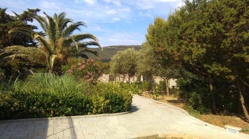 Ist Apartamento | Apartment Tasha