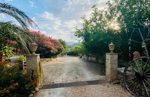 Son Macia Apartamento | Apartment Tejado in Manacor Mallorca - Adults Only