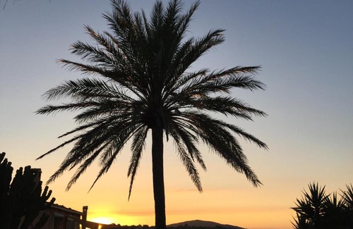 Son Macia Apartamento | Apartment Tejado in Manacor Mallorca - Adults Only