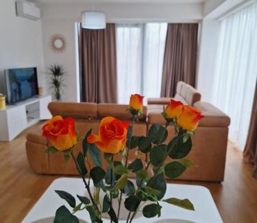Tomicici Apartamento | Apartment Teodo magico