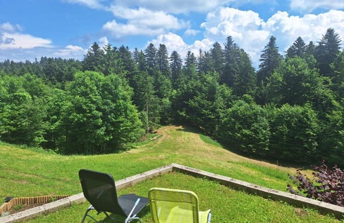Zelin Mrzlovodicki Apartamento | Apartment Tonica