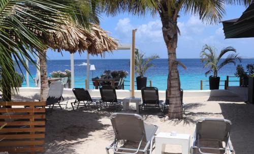 Belnem Apartamento | Apartment Turtle at Windsock Beach