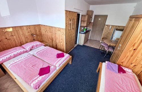 Janske Lazne Apartamento | Apartment U Švýcarského dvora II by Interhome