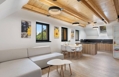 Bedrichov Apartamento | Apartamento U Buku by Interhome