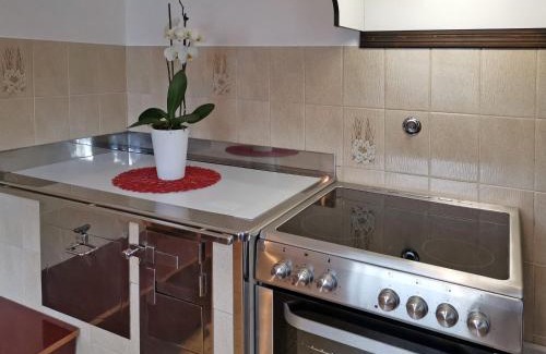 Studor Apartamento | Apartment V&N, LAKE BOHINJ
