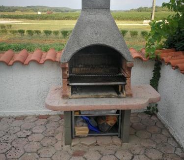 Funtana Apartamento | Apartment Viti with garden and barbecue