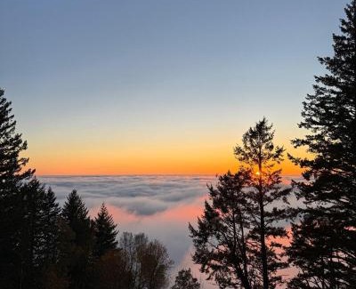 Redwood City Apartamento | Apartment w hot tub forest & ocean view
