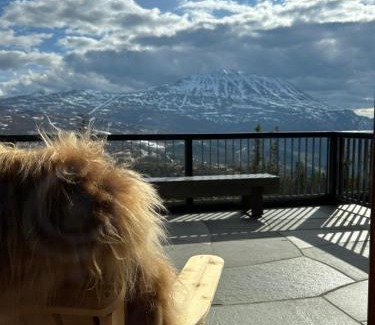 Atra Apartamento | Apartment with a fantastic view to Gaustatoppen
