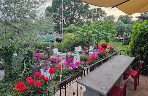 Bagnaia Condominio | Apartment with garden view