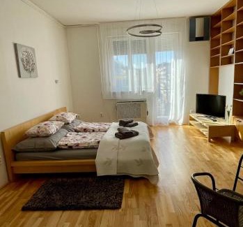 Lagymanyos Apartamento | Apartment with nice view