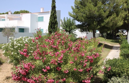 Prainha Apartamento | Apartamento con terraza privada en la azotea y vistas al mar en Prainha / Alvor