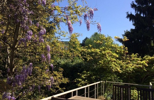 Steinbach Casa | Apartamento con una gran terraza y jardín en una zona soleada de Baden-Baden