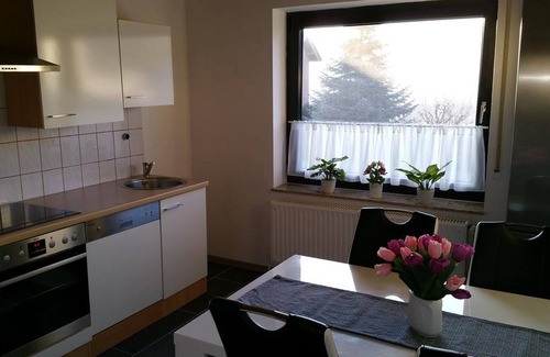 Bodenwerder Apartamento | Apartamento con terraza y chimenea, 1 dormitorio, máx. 4 personas