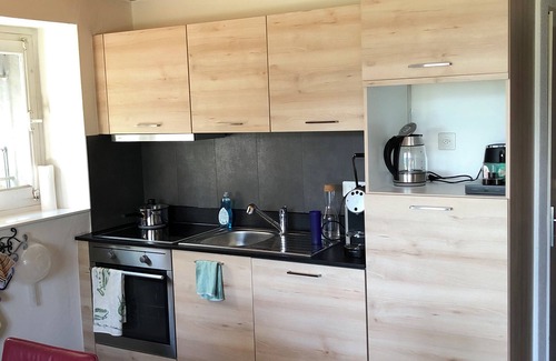 Leysin Apartamento | Apartment with terrace and garden for skiers and hikers. Pet friendly!