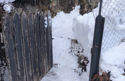Leysin Apartamento | Apartment with terrace and garden for skiers and hikers. Pet friendly!