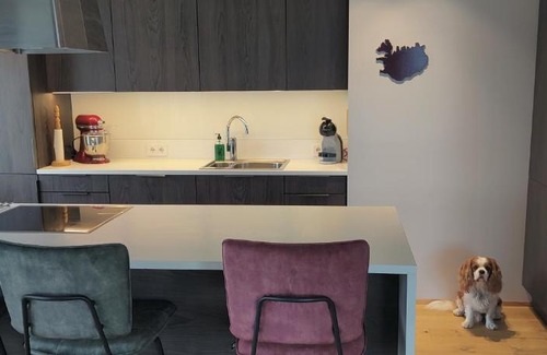 Reykjavik Apartamento | Apartment with view