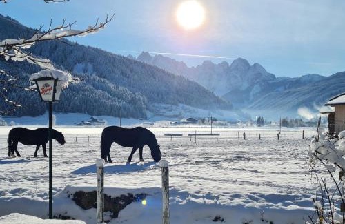 Gosau Apartamento | Apartmenthaus Edelweiss in Gosau