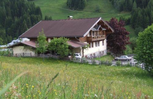 Wagrain Apartamento | Apartmenthaus Kristall