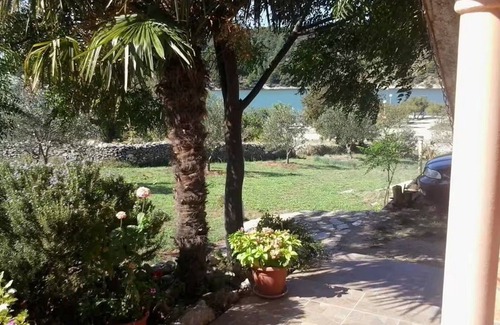 Jadrtovac Apartamento | Apartments Šarić (116621-A2) - Jadrtovac