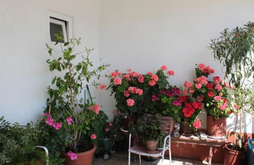 Metajna Casa | Apartments and rooms by the sea Metajna, Pag - 6496