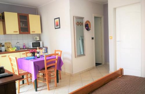 Pjescana Uvala Apartamento | Apartments Bilic with garden & swimming pool - 50m from the beach