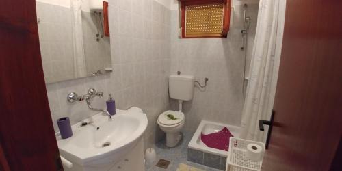 Molat Apartamento | Apartments by the sea Brgulje, Molat - 16217