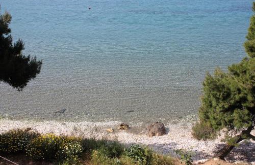 Saplunara Apartamento | Apartments by the sea Cove Saplunara, Mljet - 12849