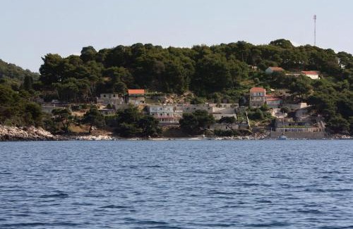 Saplunara Apartamento | Apartments by the sea Cove Saplunara, Mljet - 12849