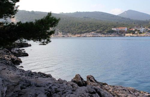 Pokrivenik Apartamento | Apartments by the sea Cove Pokrivenik, Hvar - 5224