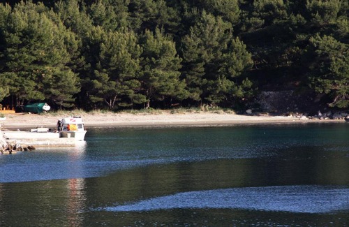 Kobas Apartamento | Apartments by the sea Cove Saplunara, Mljet - 4896