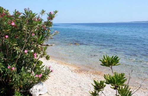 Mandre Apartamento | Apartments by the sea Mandre, Pag - 22885