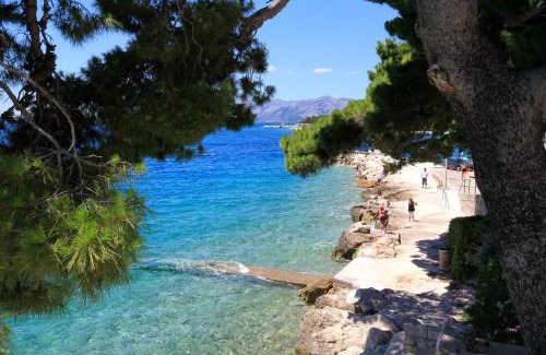 Promajna Apartamento | Apartments by the sea Promajna, Makarska - 2605