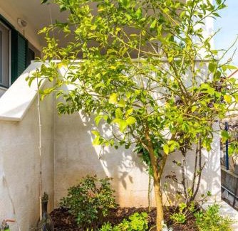 Rogac Apartamento | Apartments by the sea Rogac, Solta - 11220