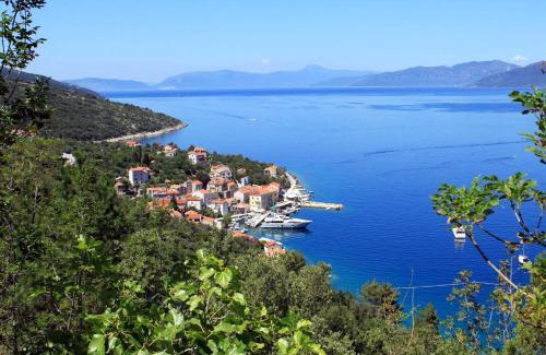 Valun Apartamento | Apartments by the sea Valun, Cres - 8081